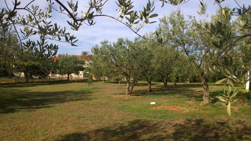 Apartments Free Parking Big Garden Peroj Exterior foto